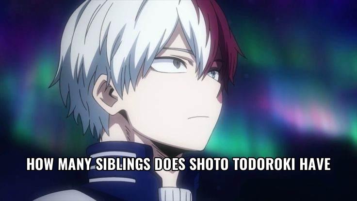 How Many Siblings Does Shoto Todoroki Have (Quick Answers You Should ...