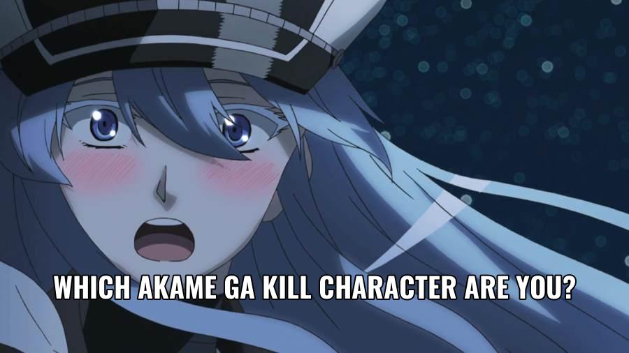 Which Akame Ga Kill Character Are You? (Explained) - reallystrongstory.com
